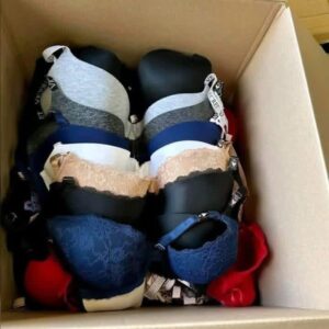 Bras and Panties Liquidation Pallet | Wholesale Lingerie