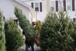 Artificial Christmas Trees Wholesale