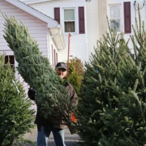 Artificial Christmas Trees Wholesale